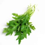 Rucola šalát
